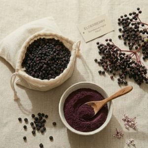 Elderberry (Sambucus nigra)